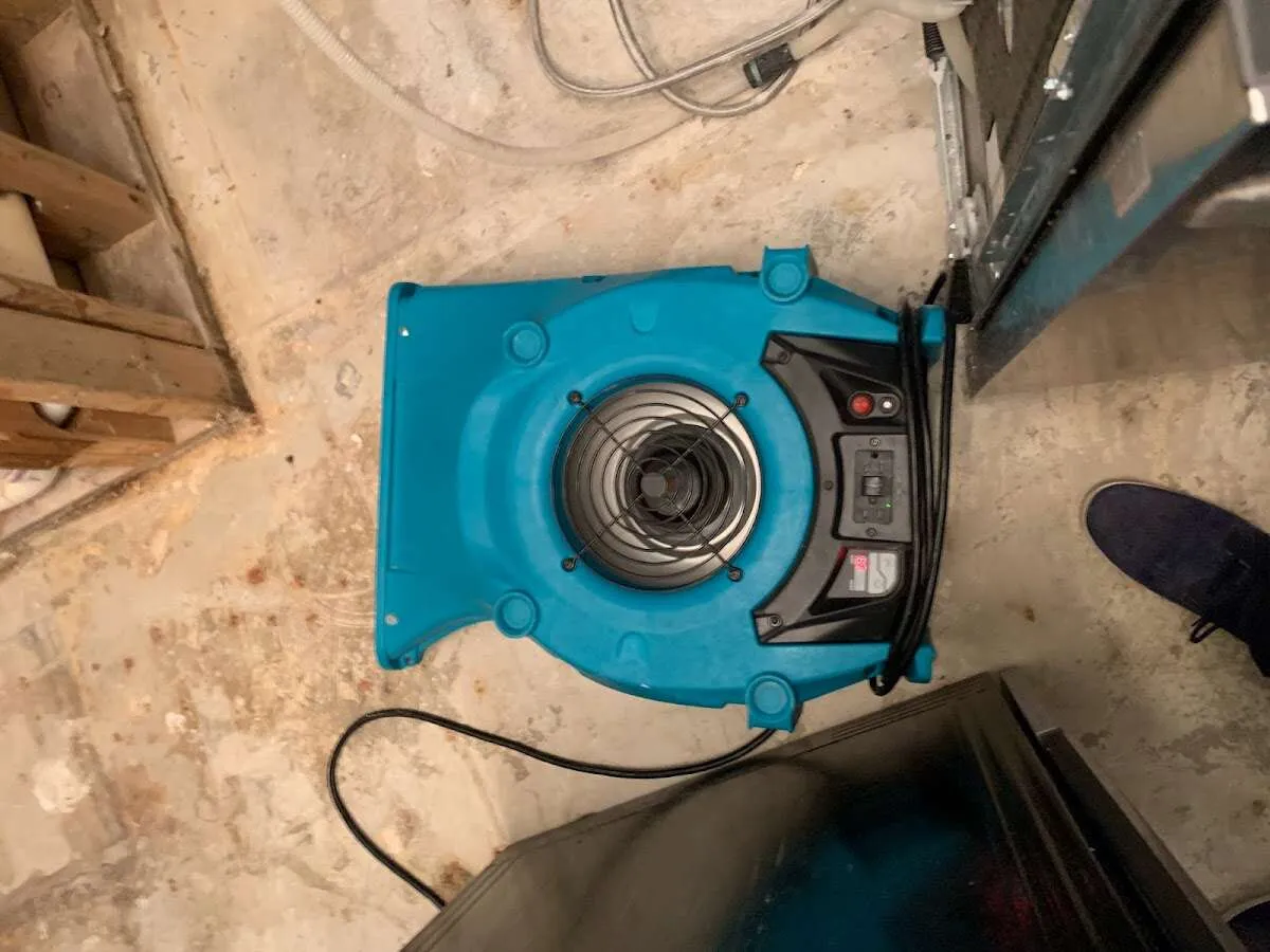 Air mover drying equipment for Mold Remediation & Removal in Kenai